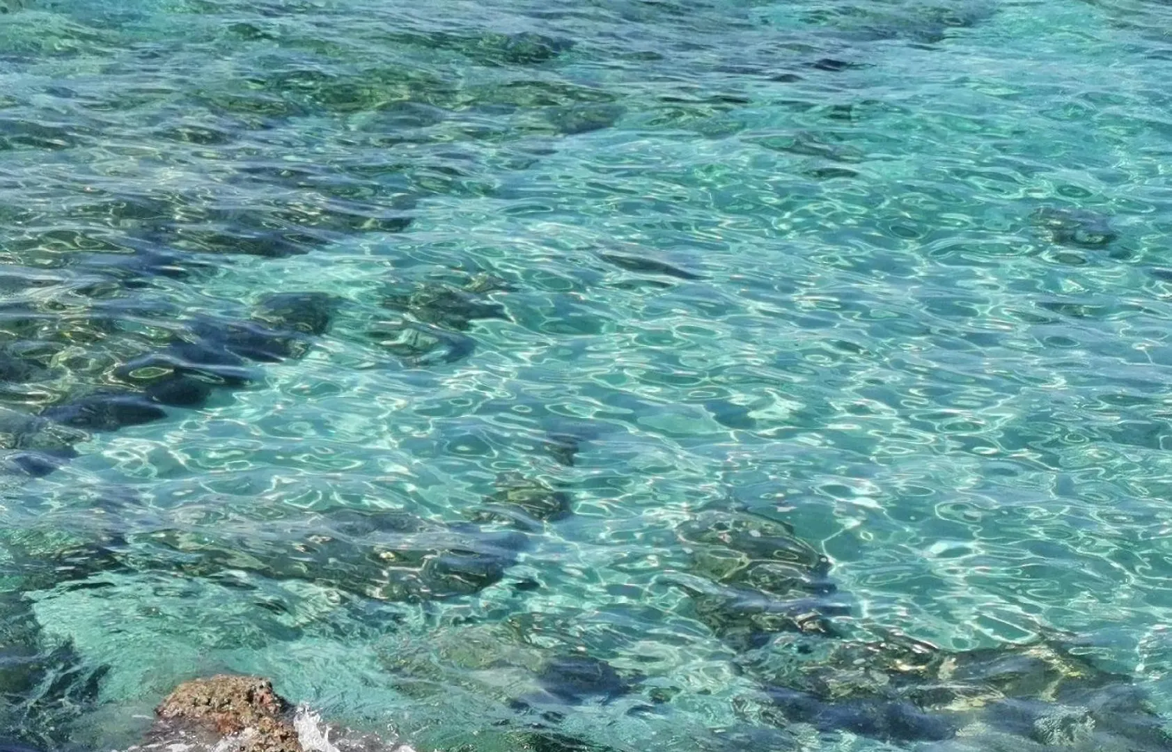 Daire La Casetta Di Gra Palermo İtalya